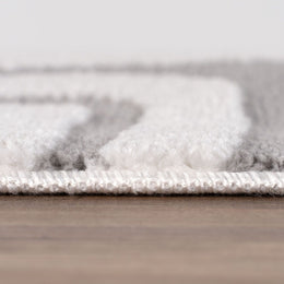 Silver Frame Rug — pile detail
