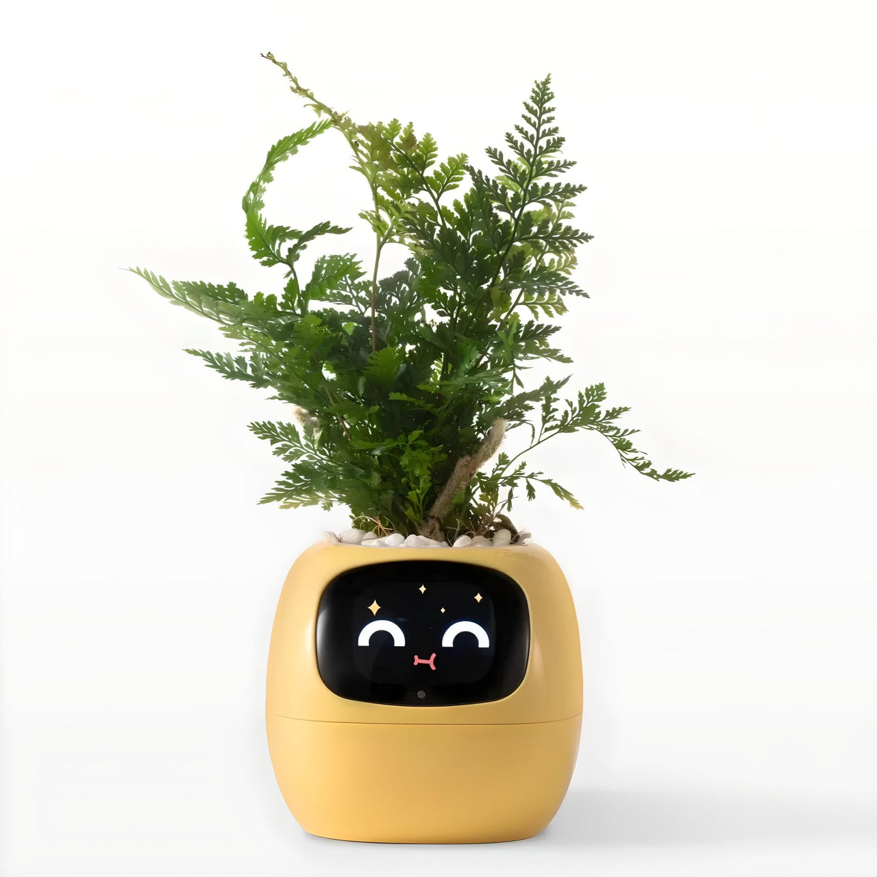 Ivy Smart Planter