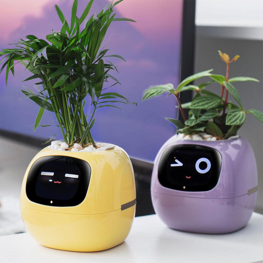 Ivy Smart Planter - Sickhaus