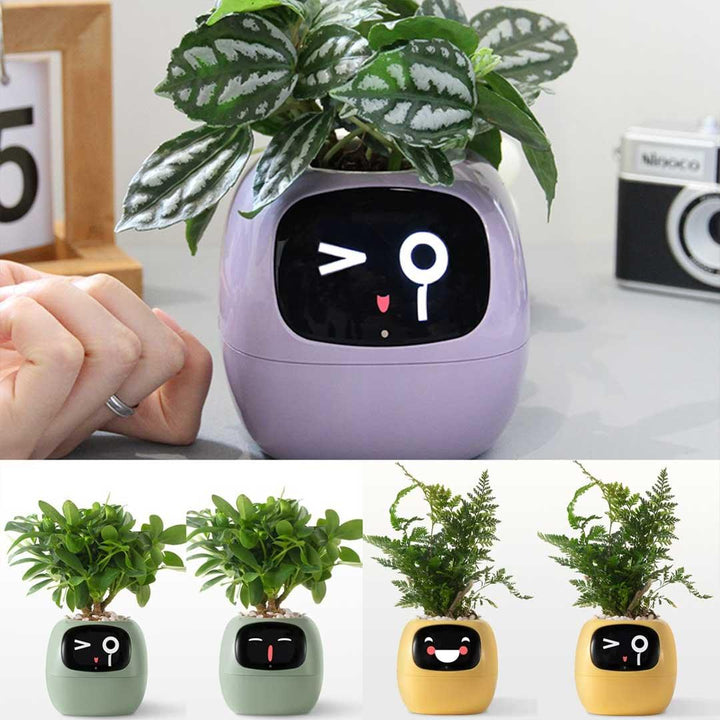 Ivy Smart Planter - Sickhaus