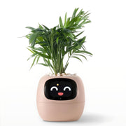 Ivy Smart Planter - Sickhaus