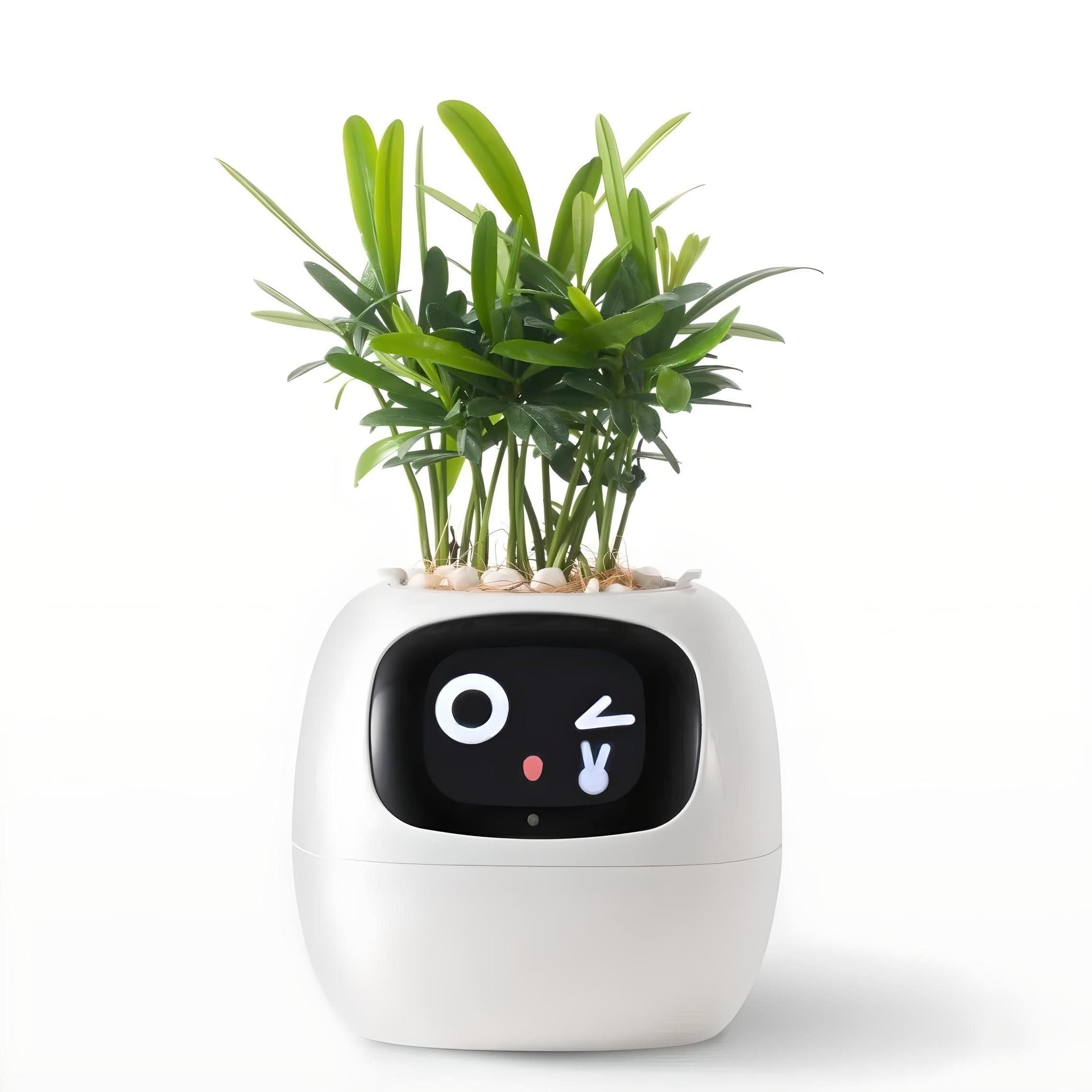 Ivy Smart Planter - Sickhaus