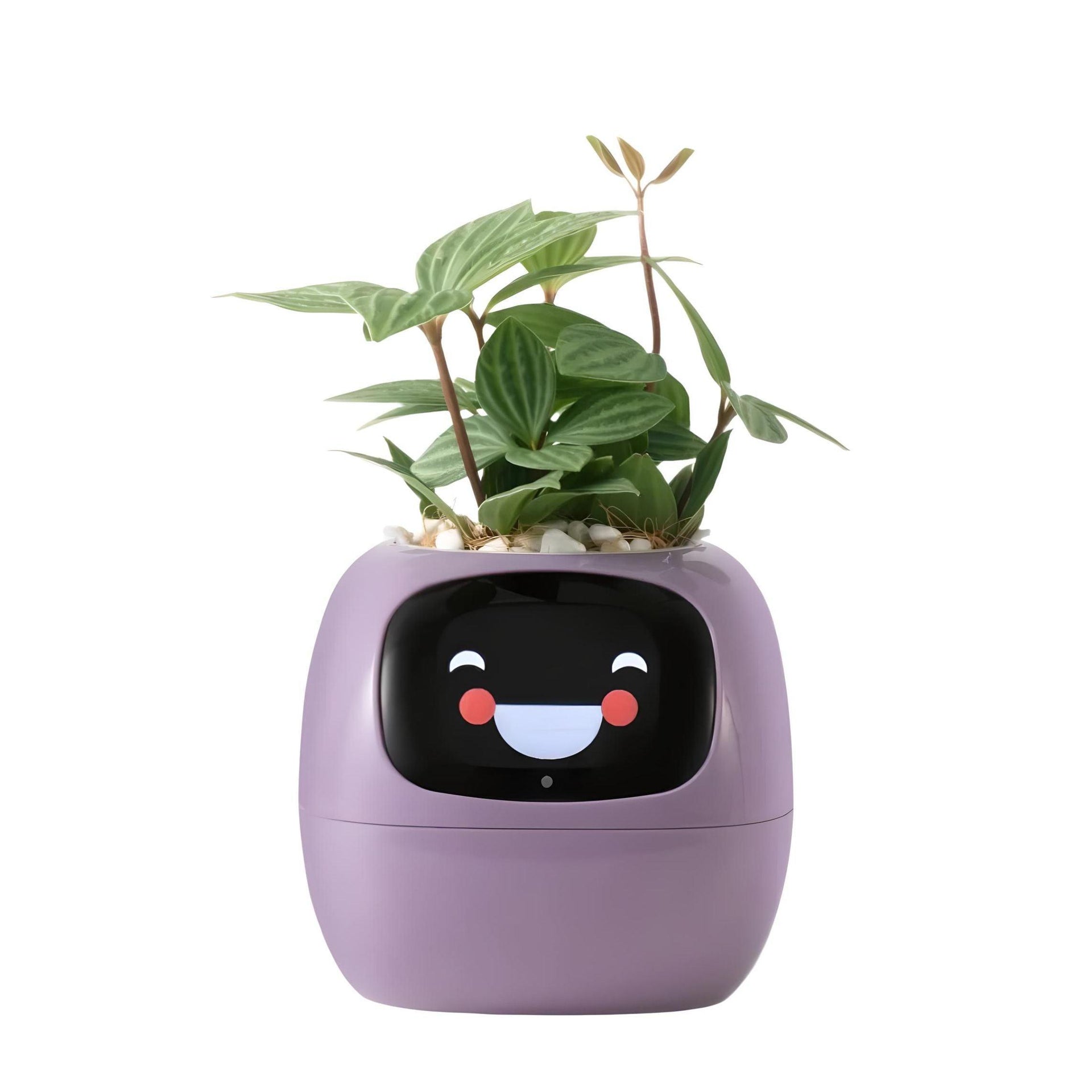 Ivy Smart Planter - Sickhaus