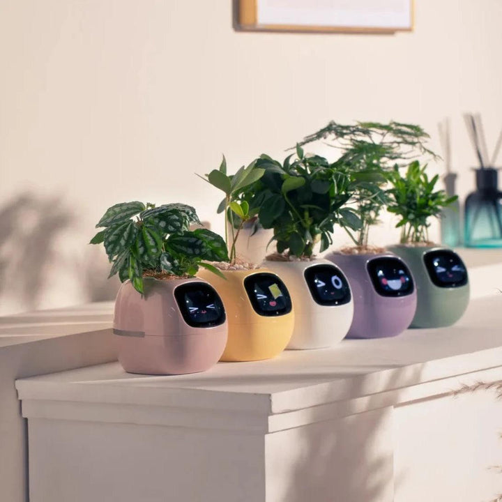 Ivy Smart Planter - Sickhaus