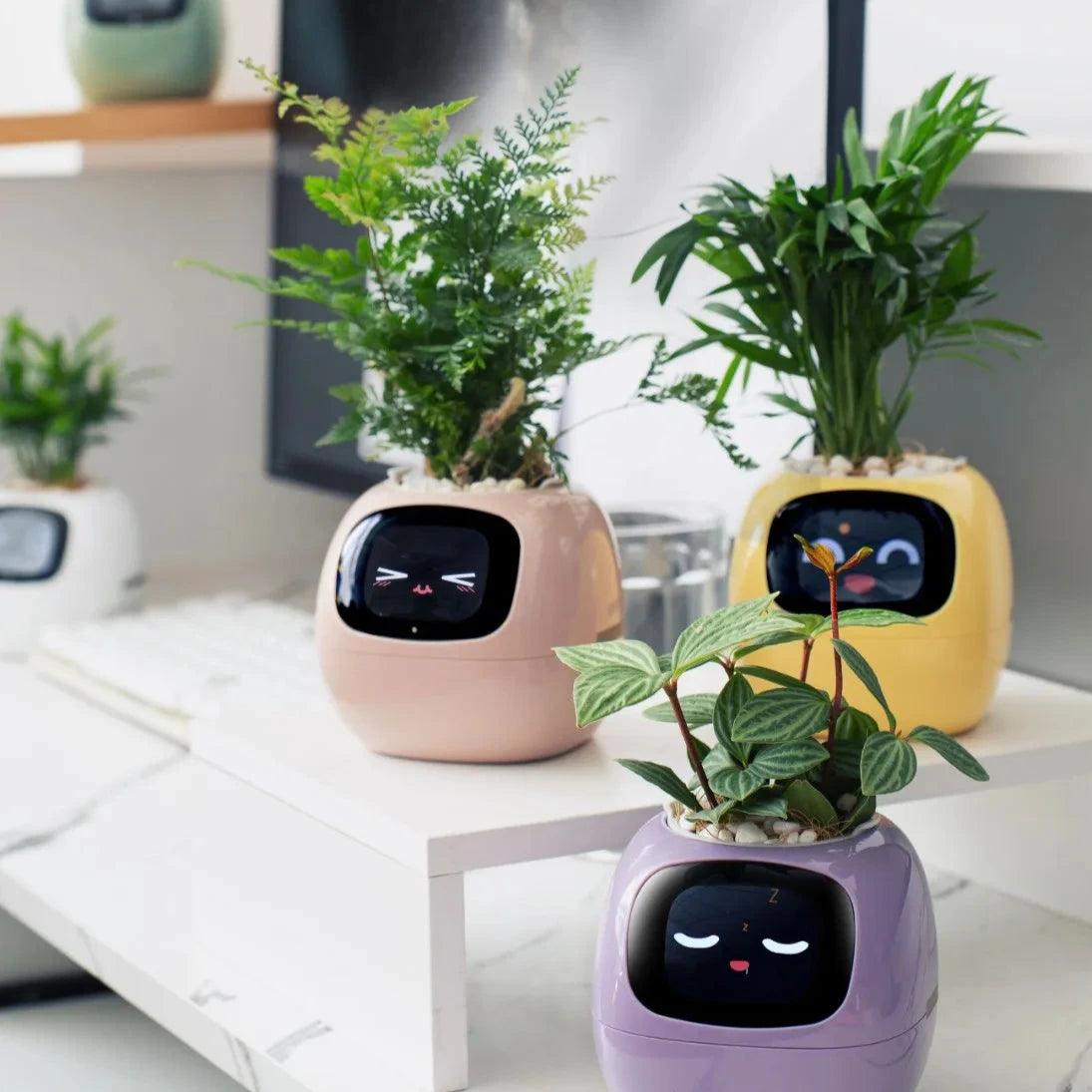 Ivy Smart Planter - Sickhaus