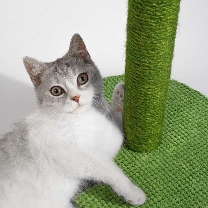 The Cactus Cat Scratching Post - Sickhaus