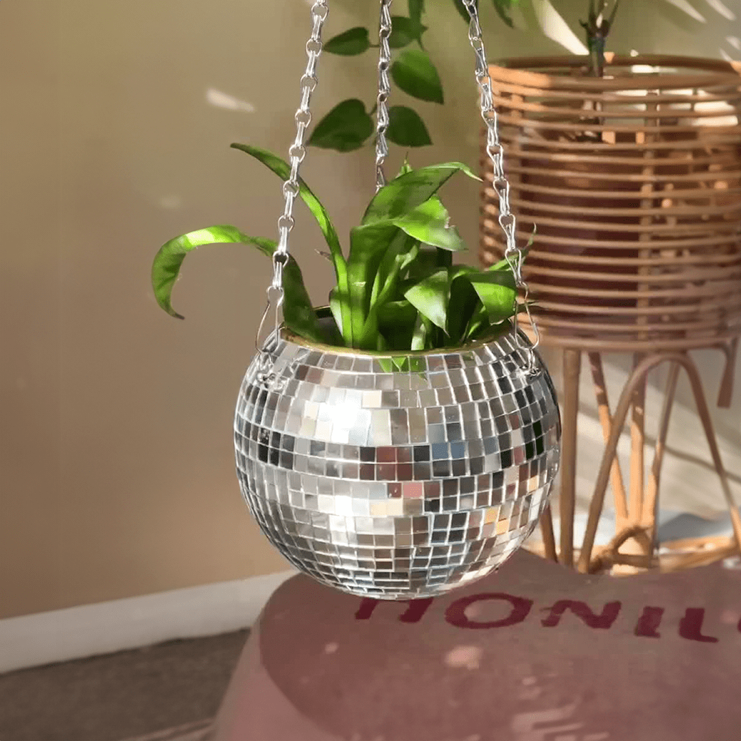 The Disco Planter - Sickhaus