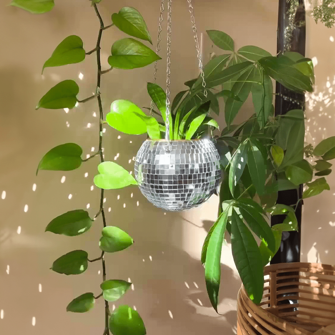 The Disco Planter - Sickhaus