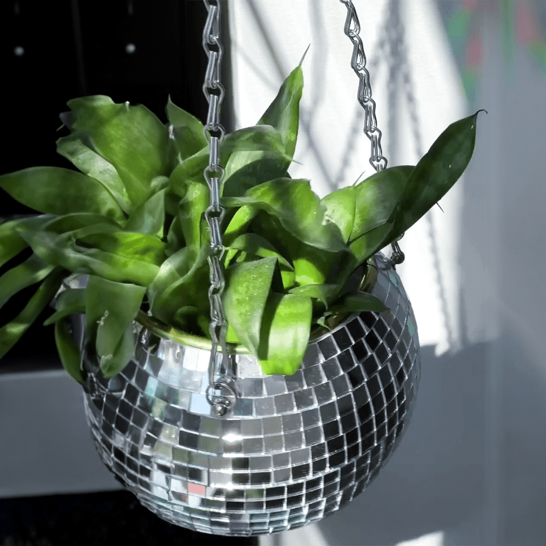 The Disco Planter - Sickhaus