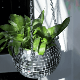 Reflective tile detail on the Disco Planter