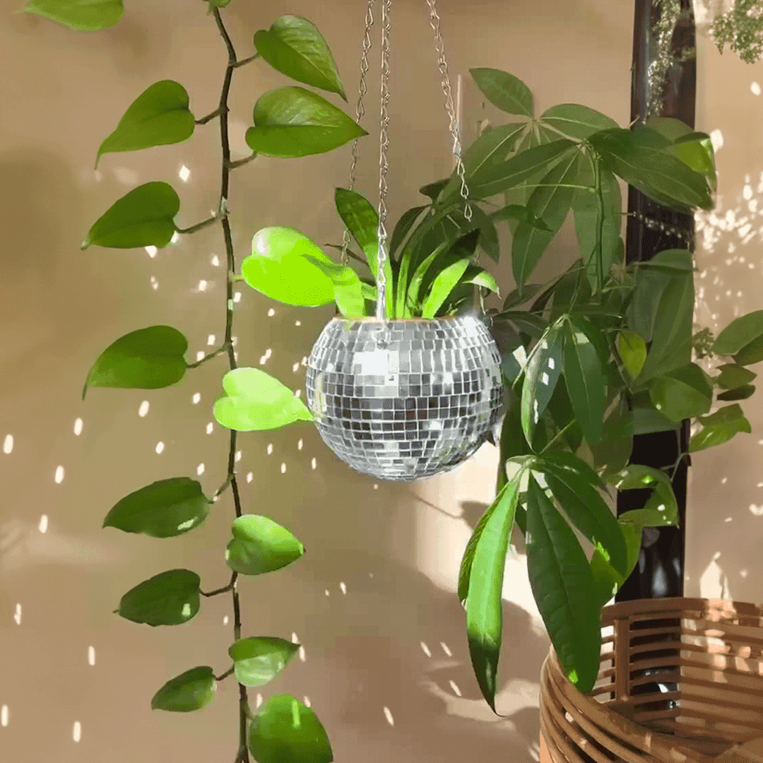 Mirrored Disco Planter shown as an indoor hanging display
