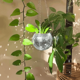 Mirrored Disco Planter shown as an indoor hanging display