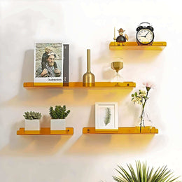 Minimal Acrylic Shelf displaying books and small objects