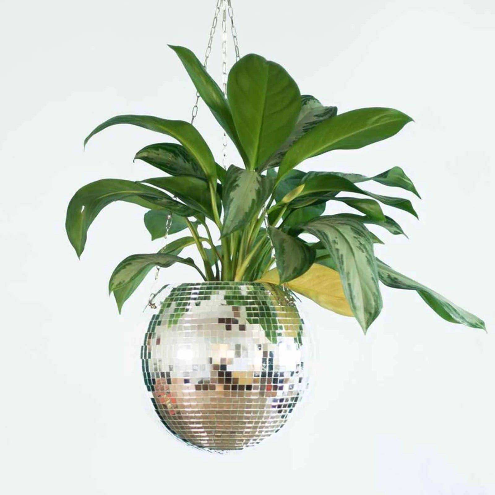 Disco Planter styled with a trailing plant